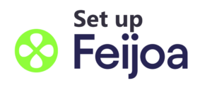 Set up the Feijo app